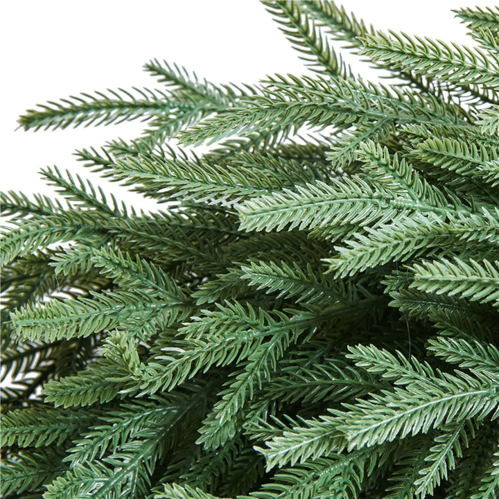 Norfolk pine Christmas wreath on vine base