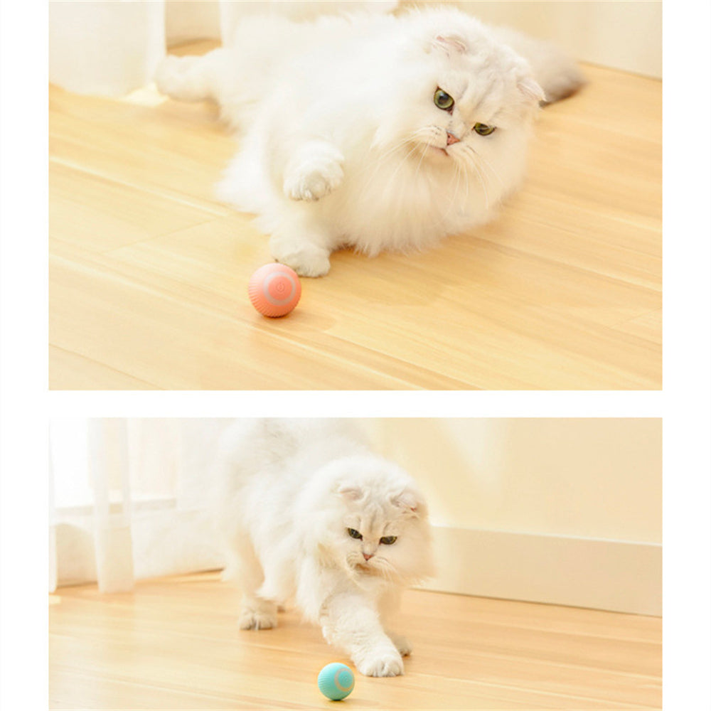 Smart rolling cat toy ball on floor