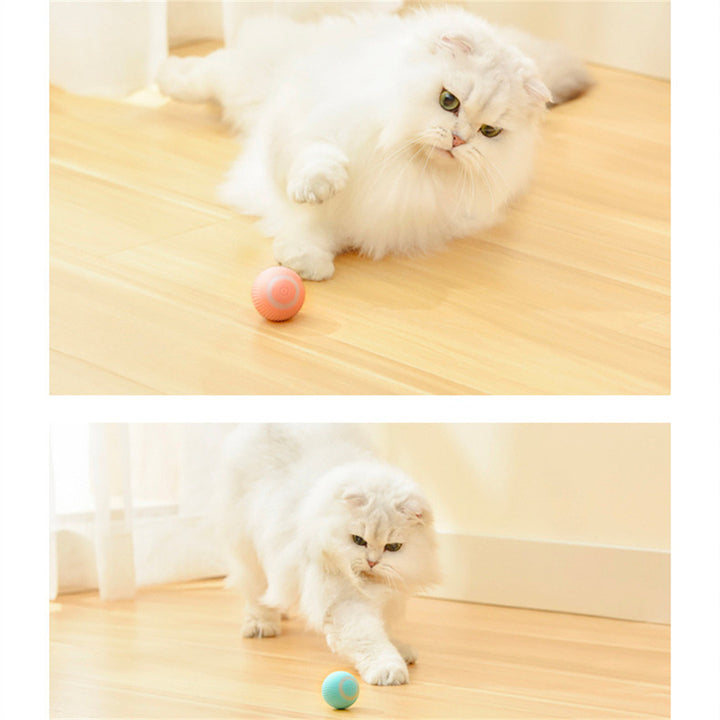 Smart rolling cat toy ball on floor