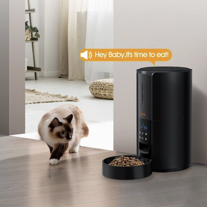 Large Automatic Pet Feeder with Timer and Voice Recorder
