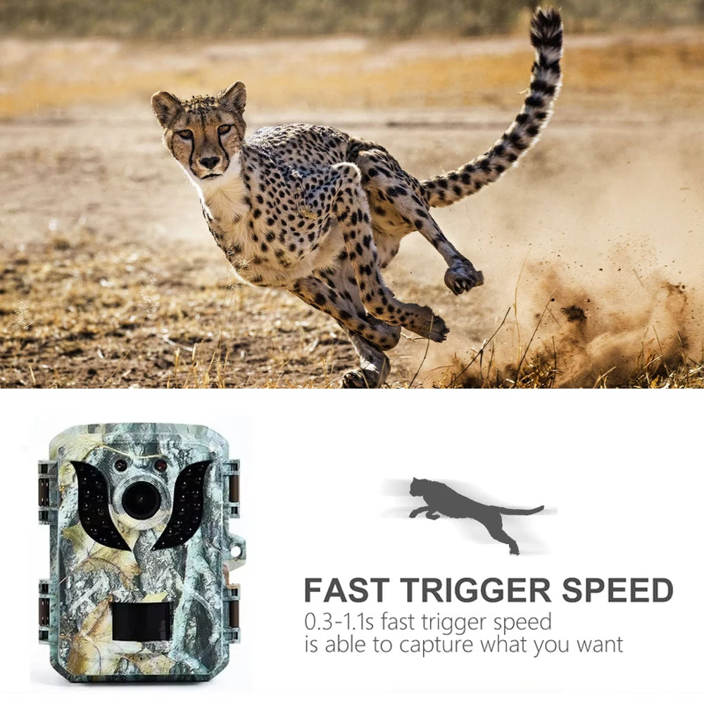 Hendrano™ Trail Camera with 16MP Photos, 1080P Video and Infrared Night Vision