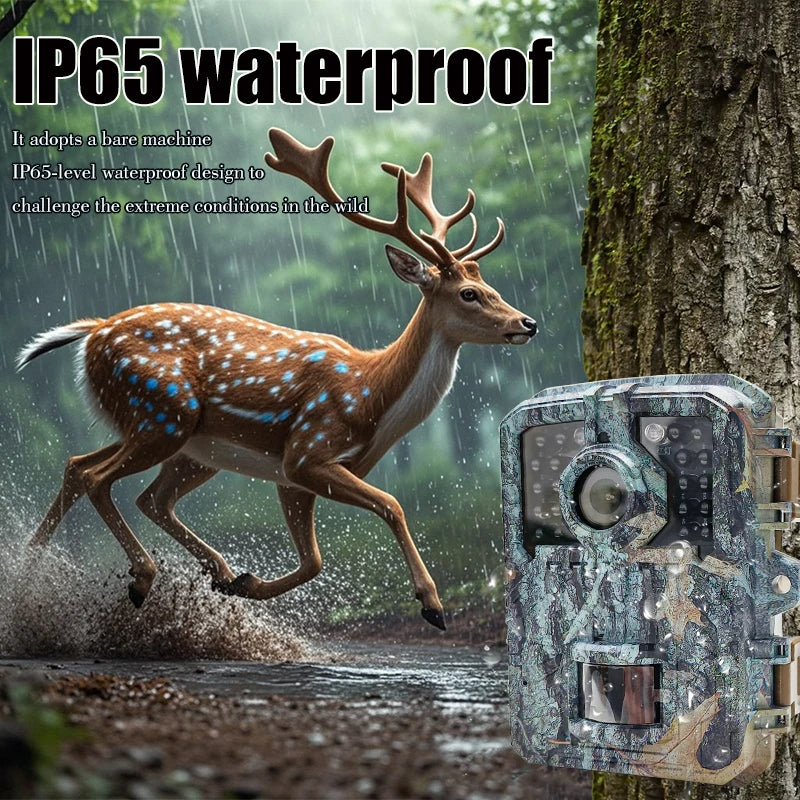 Mini 16MP Trail Camera with Night Vision and PIR Sensor
