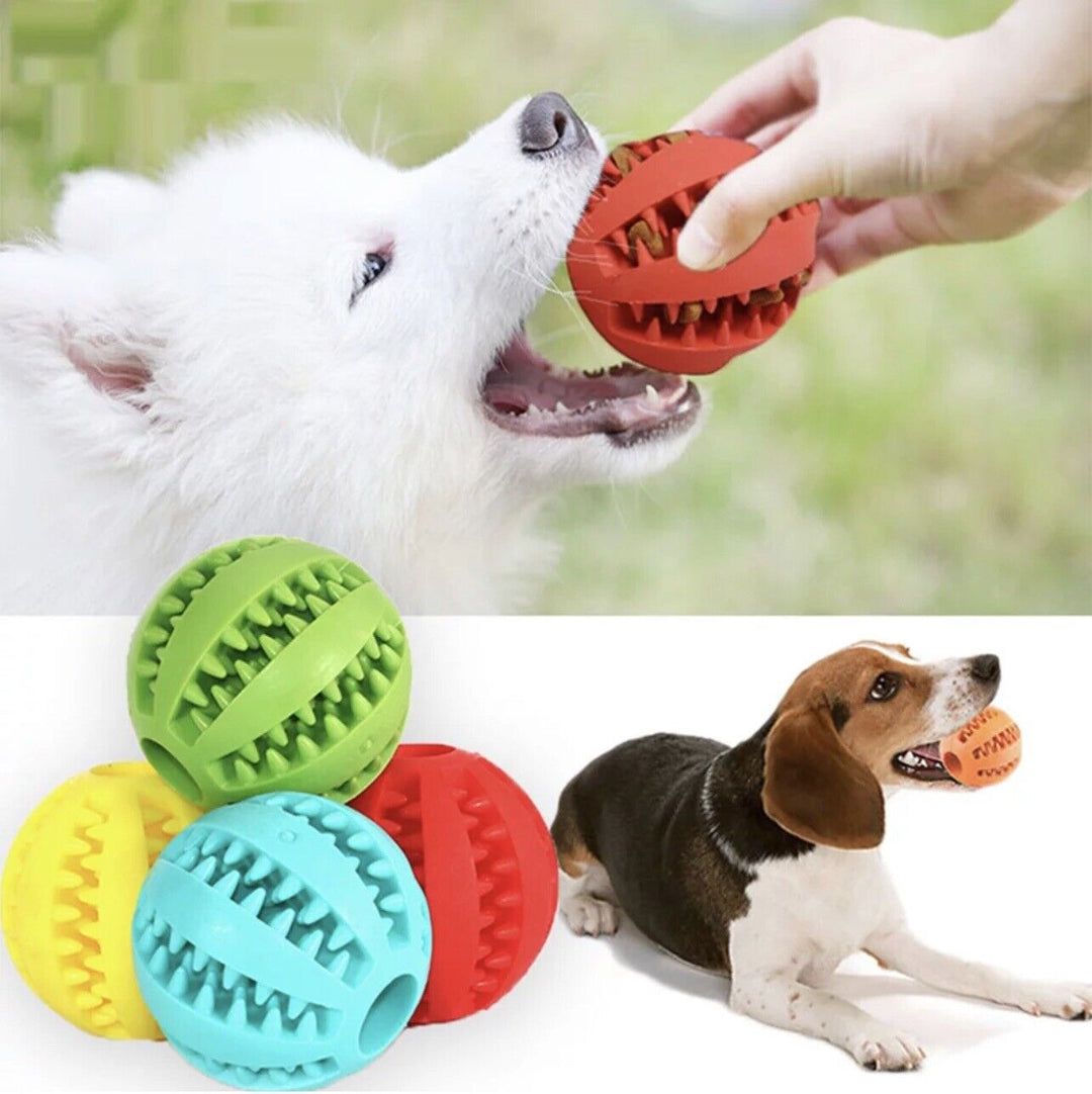 Tough Rubber Treat Ball for Dogs and Cats, Chew and Fetch Toy