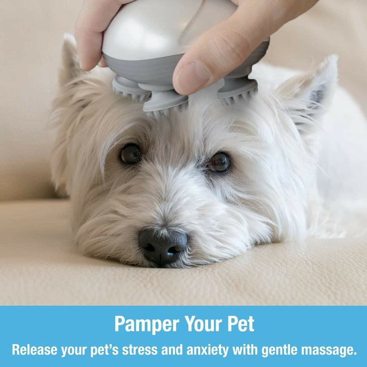 Hendrano™ Soft Silicone Pet Massage Brush for Dogs and Cats