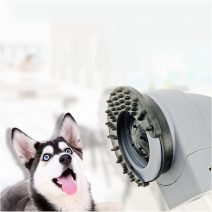 Cordless Pet Hair Vacuum for Grooming Dogs and Cats