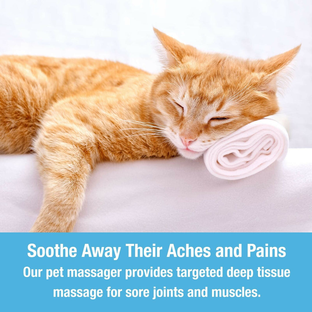 Hendrano™ Soft Silicone Pet Massage Brush for Dogs and Cats