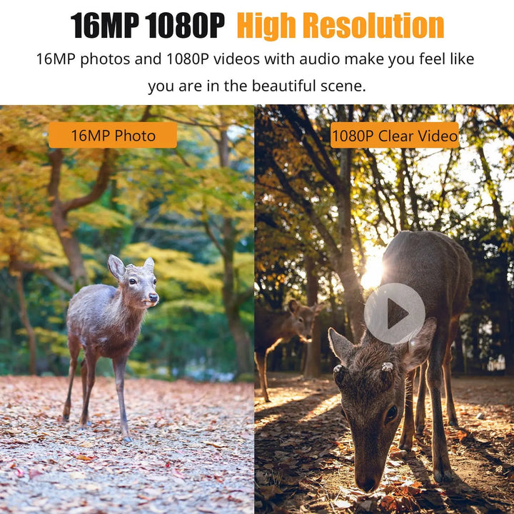 16MP Trail Camera with 1080p Video and Infrared Night Vision