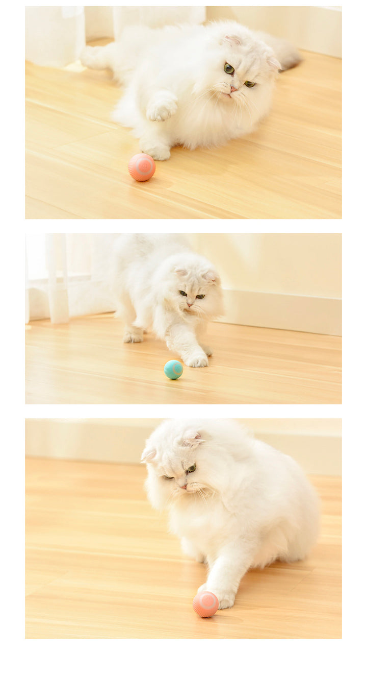 Smart rolling cat toy ball on floor