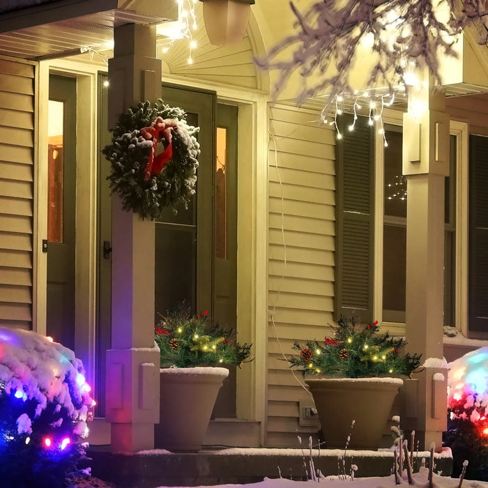 Hendrano 2 ft Battery Porch Christmas Tree with Pine Cones