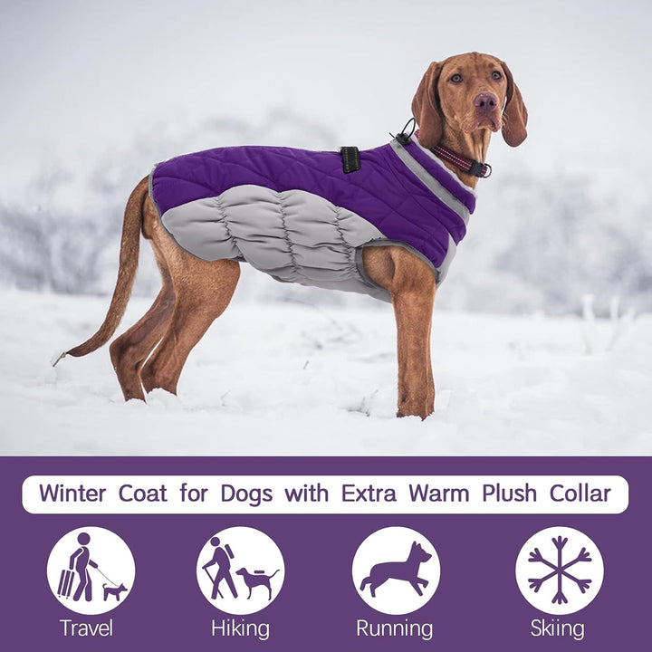 Waterproof Winter Dog Coat with Built-In Harness and Fleece