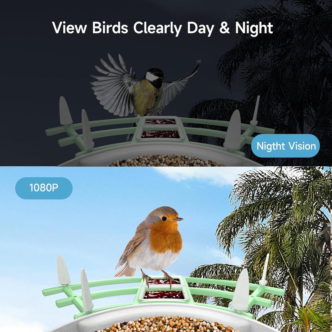 Solar Smart Bird Feeder Camera with AI Bird Recognition