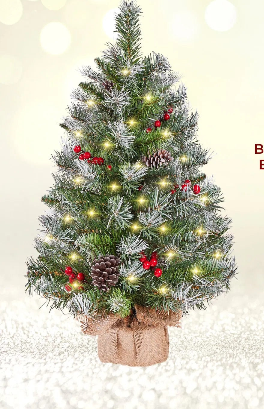 Two frosted tabletop trees with lights