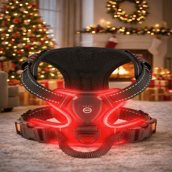 Hendrano™ Rechargeable LED Dog Harness for Safer Walks at Night