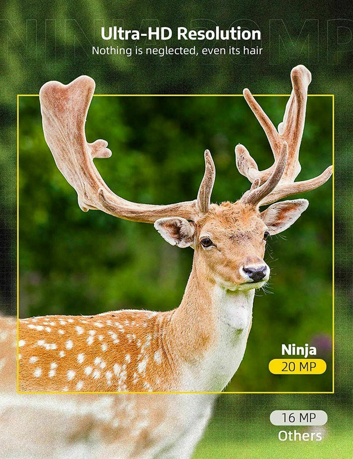 Wireless HD Trail Camera with Night Vision and Motion Sensor