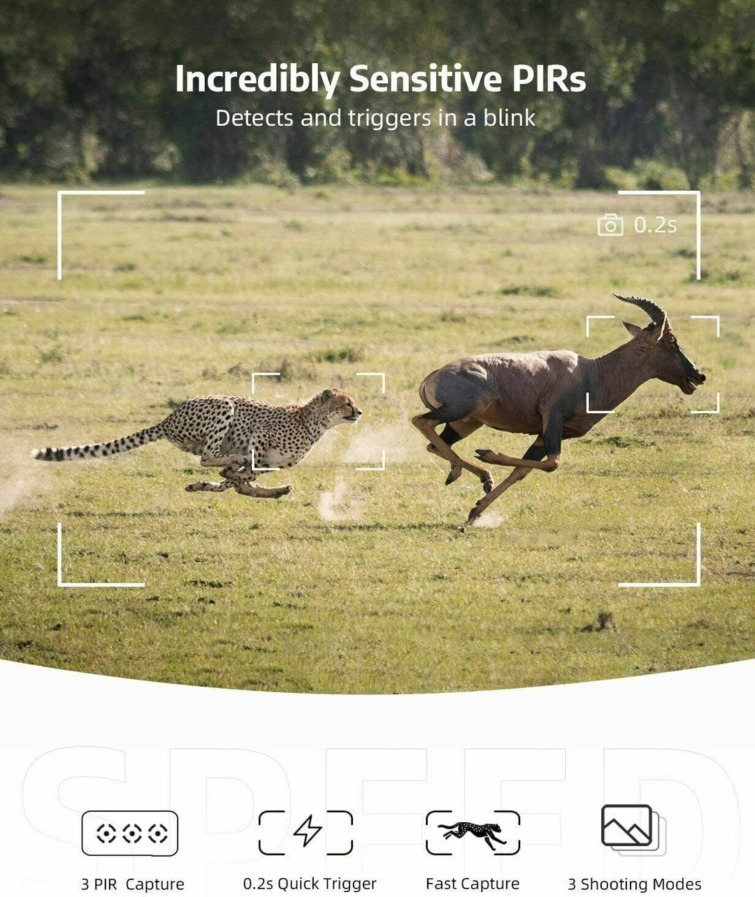Wireless HD Trail Camera with Night Vision and Motion Sensor