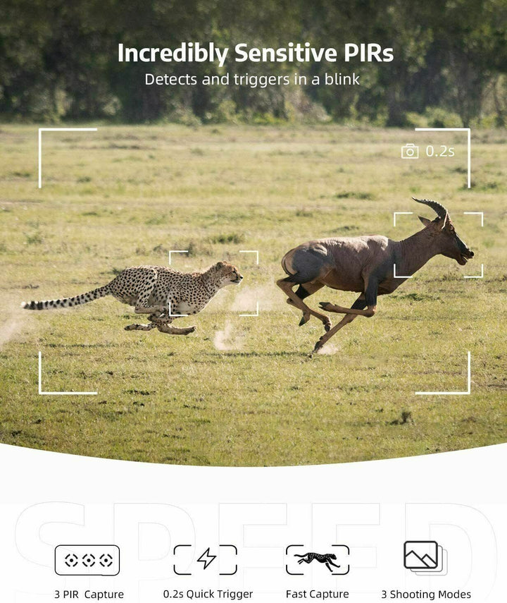 Wireless HD Trail Camera with Night Vision and Motion Sensor