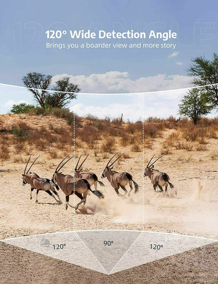Wireless HD Trail Camera with Night Vision and Motion Sensor