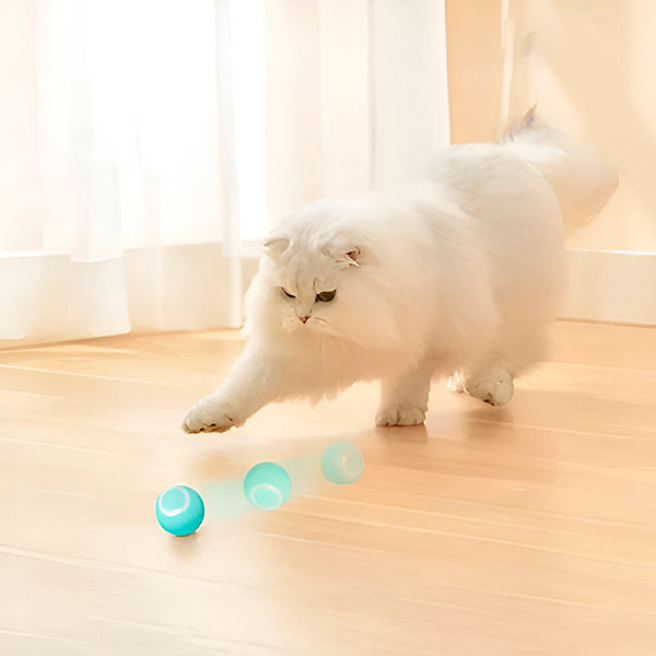 Hendrano™ Automatic Rolling Pet Ball for Dogs and Cats, USB Rechargeable