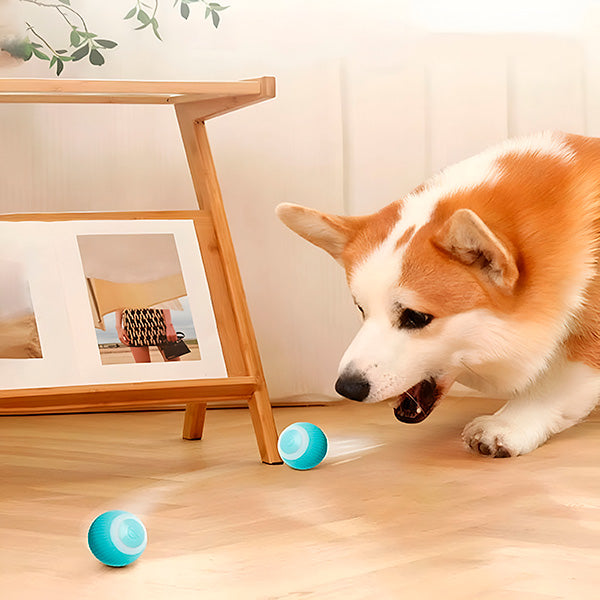 Automatic Rolling Pet Ball for Dogs and Cats, USB Rechargeable