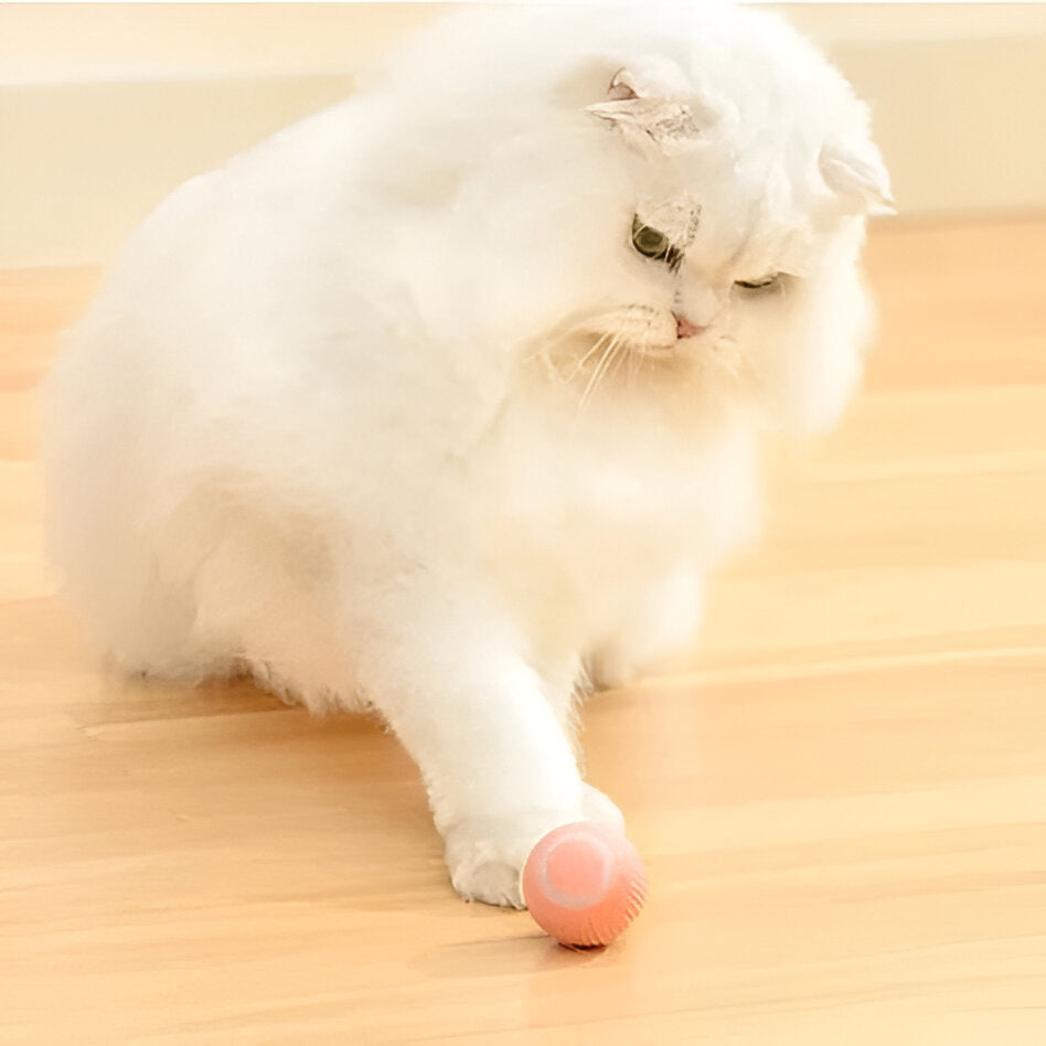 Hendrano™ Interactive Rolling Cat Toy Ball with Smart Obstacle Sensor