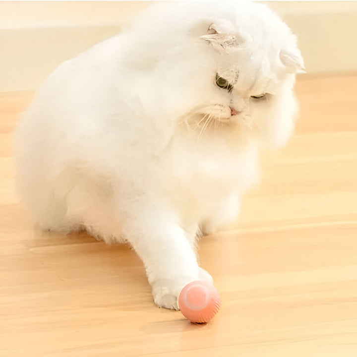 Hendrano™ Interactive Rolling Cat Toy Ball with Smart Obstacle Sensor