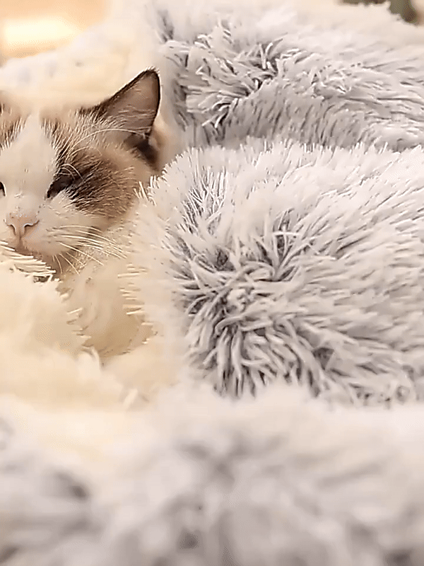 Calming Cave Dog Bed with Cozy Covered Nest Design