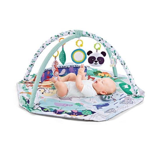 Hendrano™ Baby Play Gym and Activity Mat with Arches and Hanging Toys