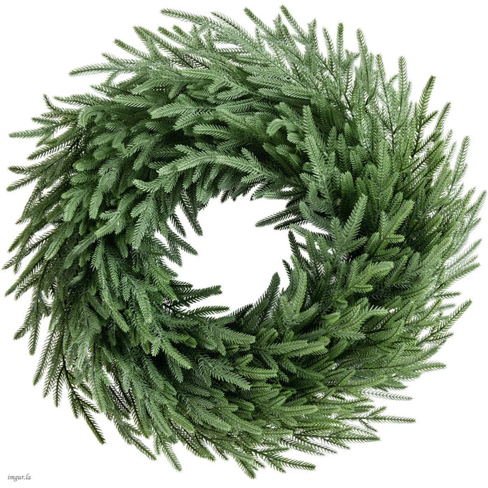 Hendrano 26 Inch Norfolk Pine Wreath on Natural Vine Base