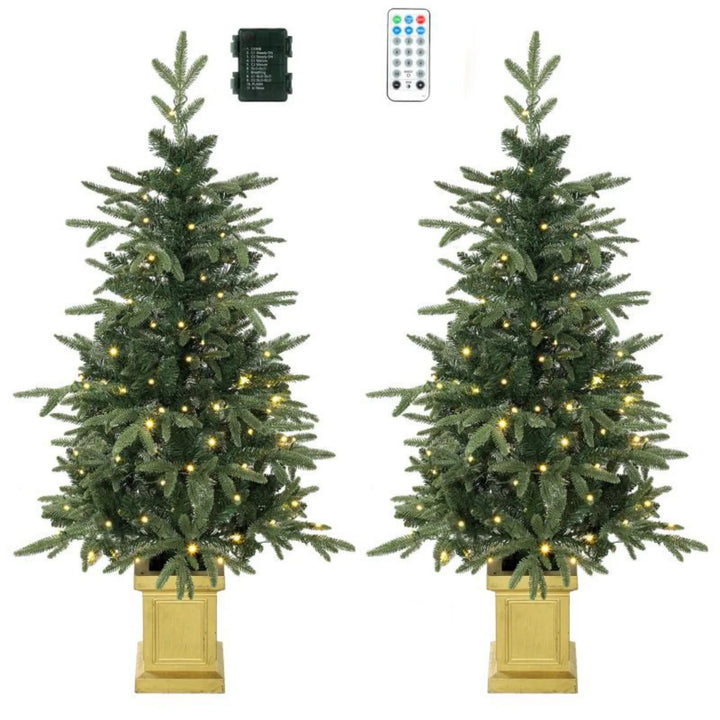 Two potted lit Christmas trees in gold pots