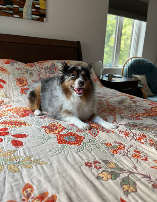 My pup approves - and so do I!