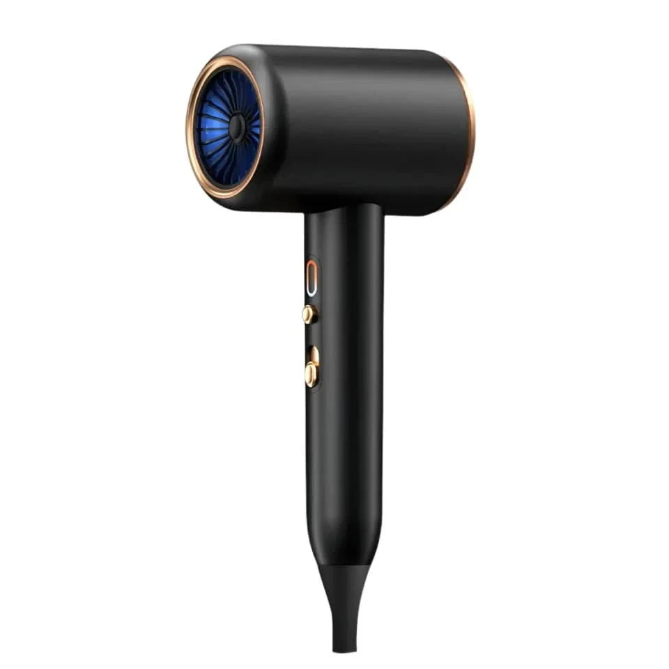 2400W Ionic Hair Dryer with Warm and Cool Air Settings
