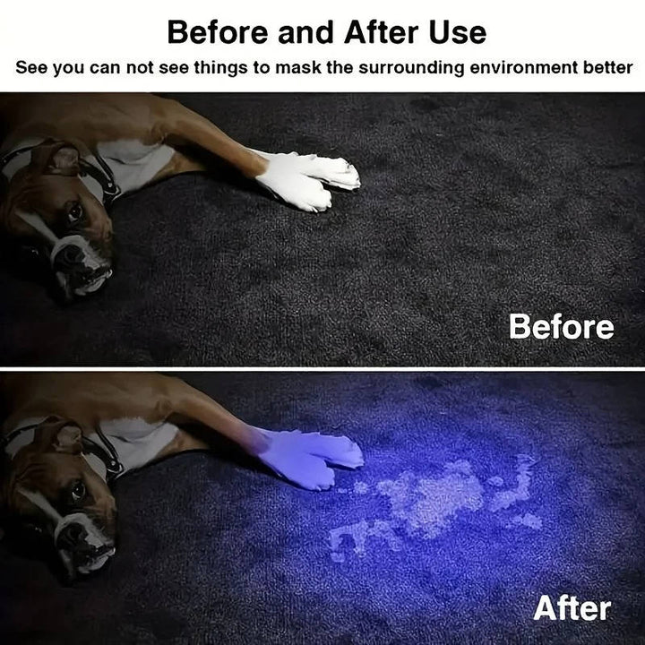 Hendrano™ Rechargeable UV Flashlight with Zoom to Find Pet Stains