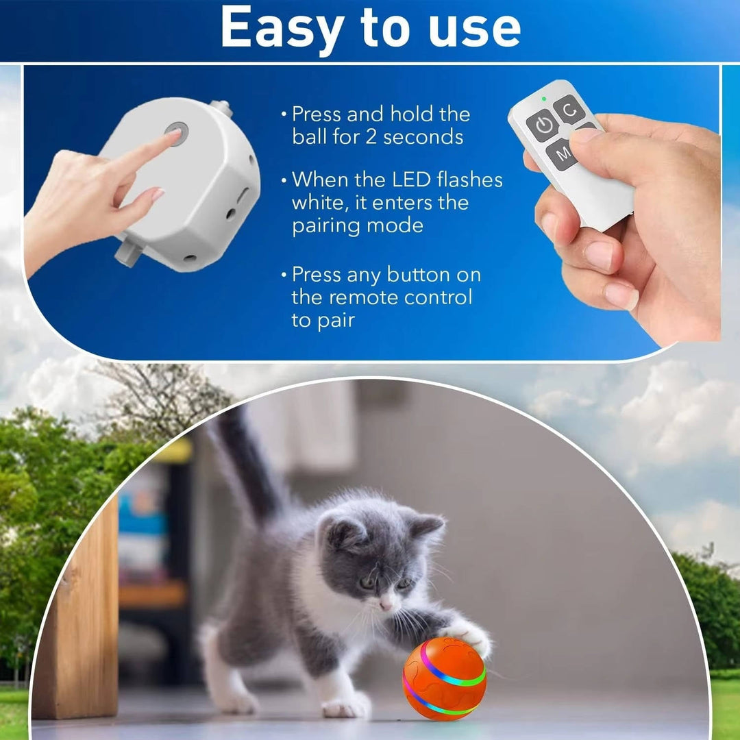 Hendrano™ Remote Control Dog Ball with Motion Sensor and Lights
