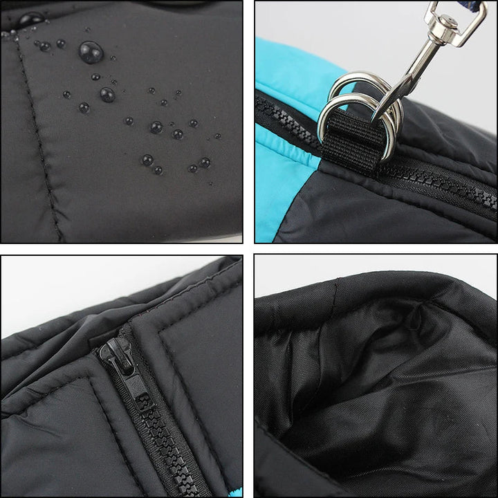 Waterproof Winter Dog Jacket with D-Ring for Small to Large Dogs