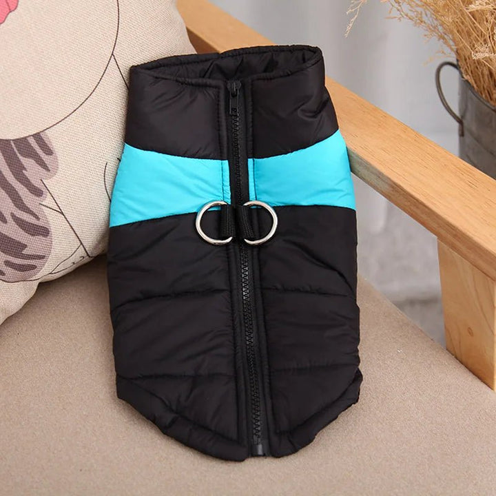 Waterproof Winter Dog Jacket with D-Ring for Small to Large Dogs