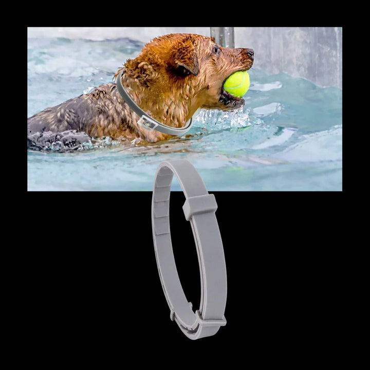 Flea and Tick Collar for Dogs and Cats with Adjustable Fit