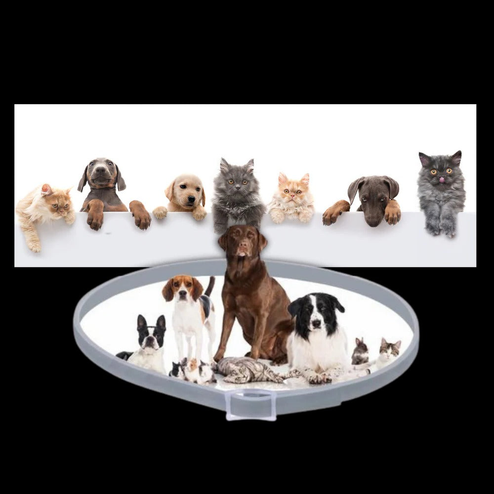 Flea and Tick Collar for Dogs and Cats with Adjustable Fit