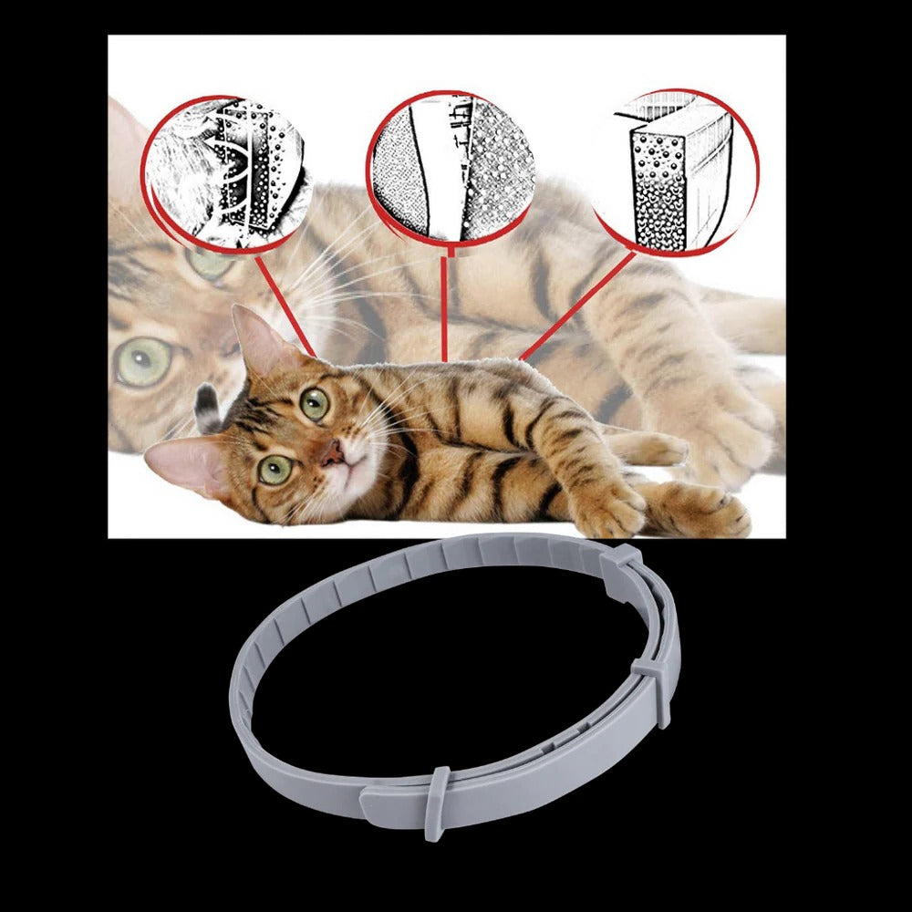 Flea and Tick Collar for Dogs and Cats with Adjustable Fit