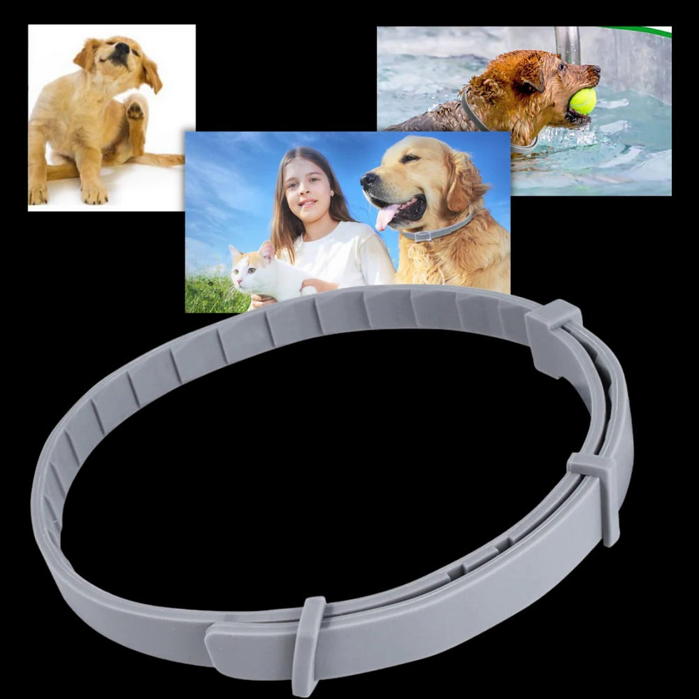Flea and Tick Collar for Dogs and Cats with Adjustable Fit