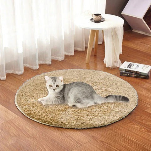 USB Heated Pet Pad with Steady All-Night Warmth