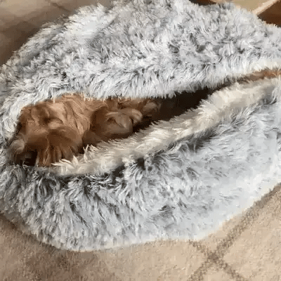 Calming Cave Dog Bed with Cozy Covered Nest Design