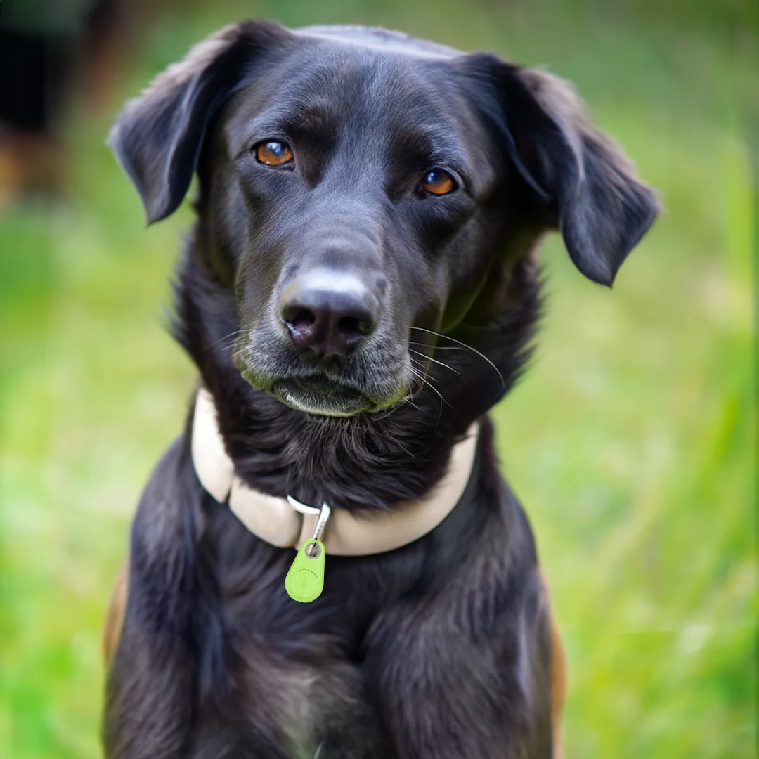 Bluetooth Pet Tracker with Find My Pet Beep and Safe Zones