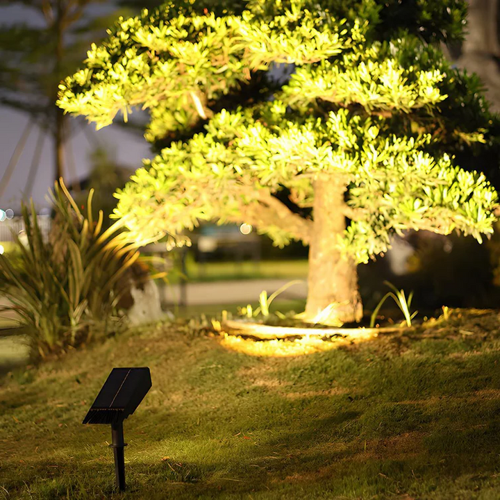 Hendrano™ Solar LED Landscape Spotlight with Zoom Lens and RGB Color