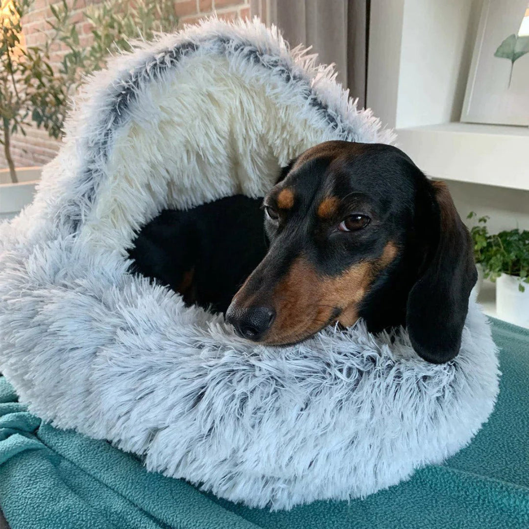 Calming Cave Dog Bed with Cozy Covered Nest Design