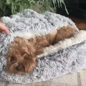 Calming Cave Dog Bed with Cozy Covered Nest Design