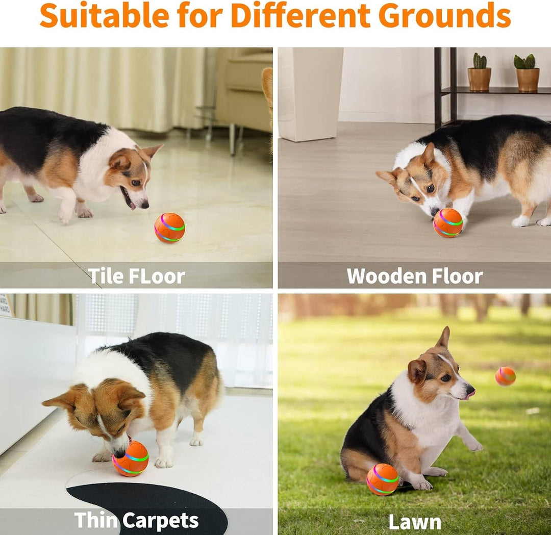 Hendrano™ Remote Control Dog Ball with Motion Sensor and Lights