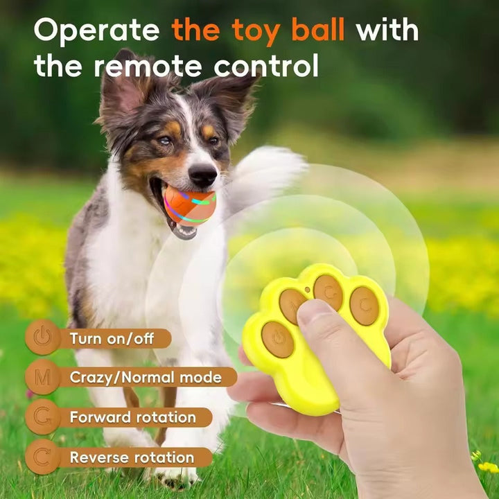 Hendrano™ Remote Control Dog Ball with Motion Sensor and Lights