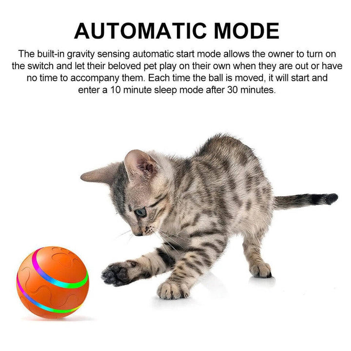 Hendrano™ Remote Control Dog Ball with Motion Sensor and Lights