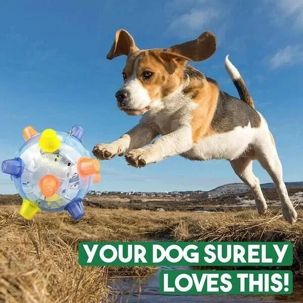 Interactive LED Jumping Ball for Dogs with Sound and Wiggle