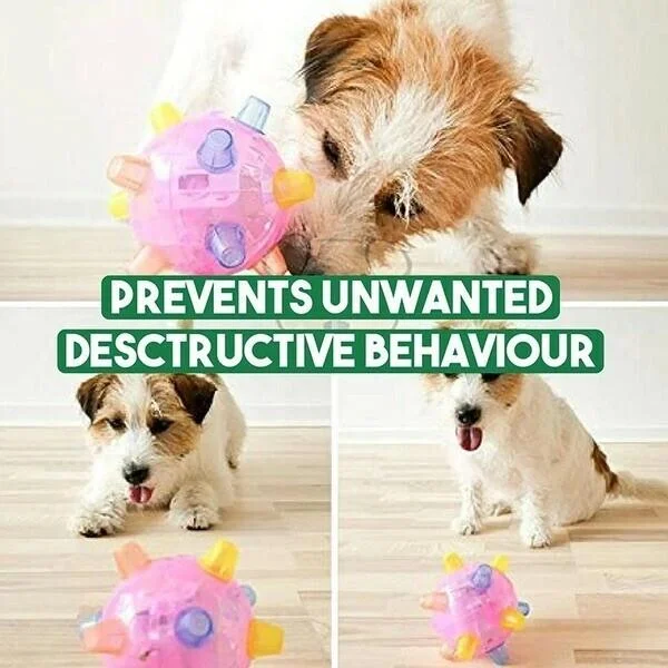 Interactive LED Jumping Ball for Dogs with Sound and Wiggle